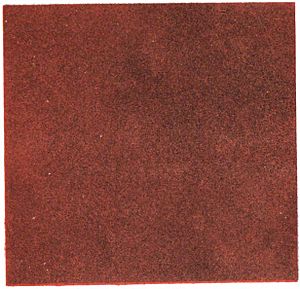 Red Sandstone Plate XXVII WBClark 1898