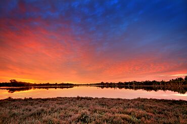 Red Sky Over Black Lake.jpg