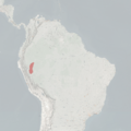 Saguinus illigeri MDD Range