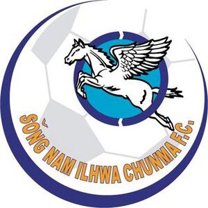 Seongnam Ilhwa Chunma Crest in 2000
