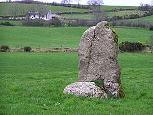 Standing Stone, Radergan - geograph.org.uk - 1232112