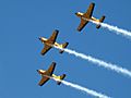 Tcas-aerobatics