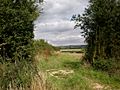 The Chalkland Way - geograph.org.uk - 1429215