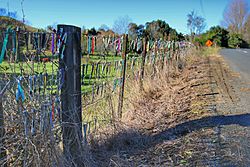 The toothbrush fence along a country road in Te Pahu, Waikato, New Zealand.