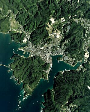 Tosashimizu city center area Aerial photograph.2019