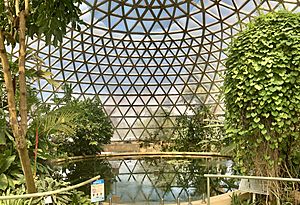 Tropical Display Dome, Brisbane Botanic Gardens, Mount Coot-tha 08.jpg