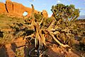 Tunnel Arch, one of the formations in Arches NP