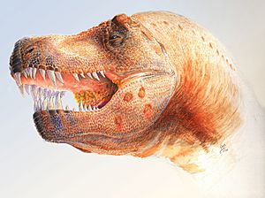 Tyrannosaurus with infection