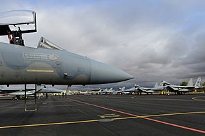 U.S. Air Force F-15C Eagle aircraft assigned to the 493rd Fighter Squadron sit on the flight line during the Tactical Leadership Program (TLP) at Albacete Air Base, Spain 130118-F-BH151-110