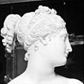 Venus Italica by Canova