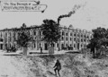 Walter Reid Co. building Rockhampton Queensland 1894f