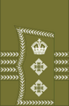World War I British Army colonel's rank insignia (sleeve, general pattern)
