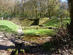 111B Mont Beuvray Bassin et fontaine