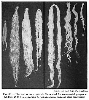 19th century knowledge weaving flax hemp jute manila sisal vegetable fibers