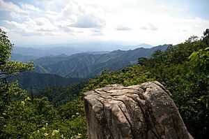 20090711 1111 Mount Tianmu Park 1015