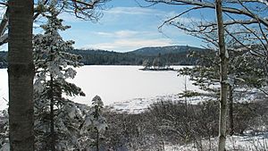 Acadia National Park, frozen lake and snow covered trees