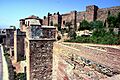 Alcazaba-IMG 2828