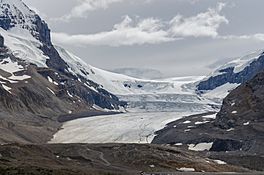 Athabasca Glacier in July 2020