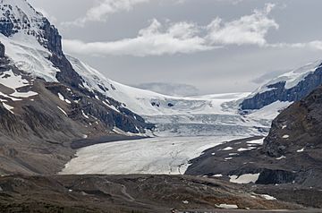 Athabasca Glacier on the Columbia Icefield.jpg