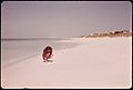 BEACH AT DESTIN, ON THE GULF OF MEXICO - NARA - 548280