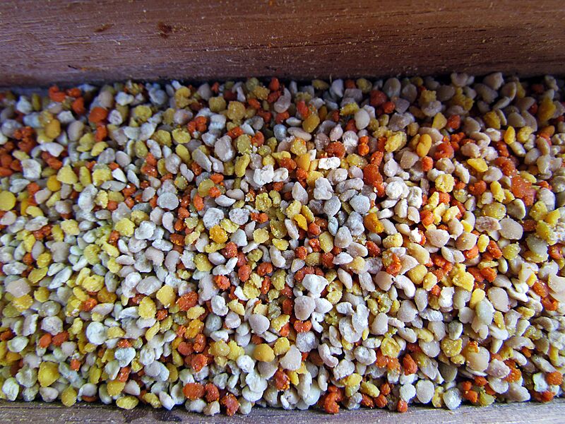 Bee Pollen IMG 8873