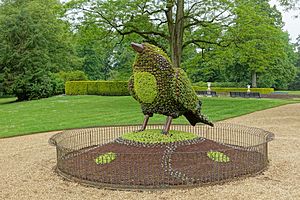 Bird - Waddesdon Manor - Buckinghamshire, England - DSC07580