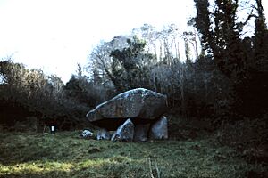 Brennanstown - Portal Tomb
