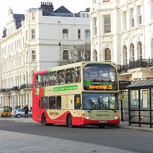 Brighton & Hove bus YN54 AOW (2)