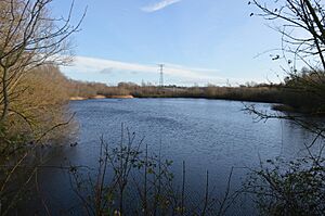 Bromham Lake 7