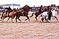 Buzkashi game in Afghanistan