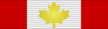CAN Order of Canada Officer ribbon