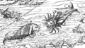 CartaMarina (B)
