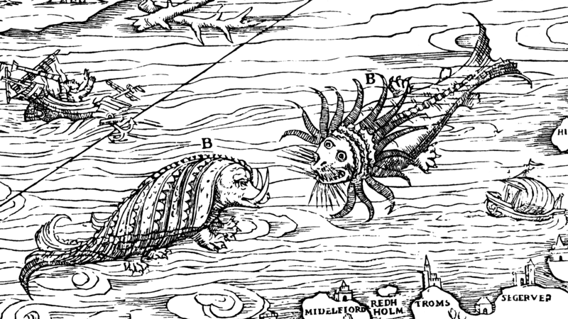 CartaMarina (B)