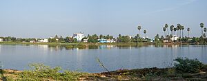 Central Veinthaan Kulam Panorama Tirunelveli Apr22 A7C 01848-49