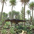Ceratosaurus nasicornis walking