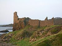 Dunure Castle and headland