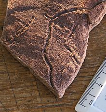 Ediacaran trace fossil