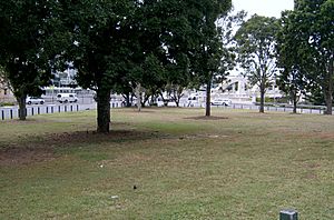 First Brisbane Burial Ground view South from Eagle Terrace (2010).jpg