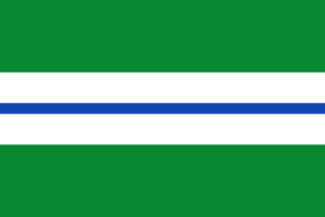 Flag of Bucarasica (Norte de Santander)