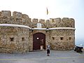 Fort of El Desnarigado