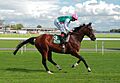Frankel at York, 2013