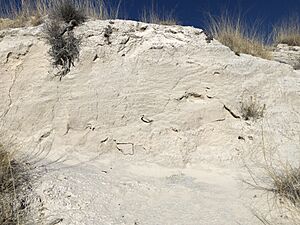 Gypsum dune, Salt Flat, Hudspeth County, Texas