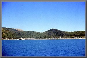 Hayman island 1959