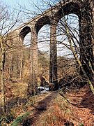 Healey Dell Viaduct - geograph.org.uk - 425607