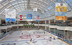 Ice Palace at the West Edmonton Mall during the Brick youth tournament, 2015