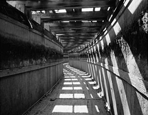 Interior View of flume with plywood walls, looking upstream - Electron Hydroelectric Project, Along Puyallup River, Electron, Pierce County, Wa Haer Wash, 27-Elec, 1-44 Crop