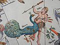 Johan Doppelmayr's celestial chart of Pavo and Indus