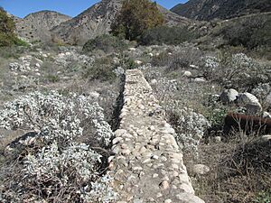 Judson Brown Ditch 3