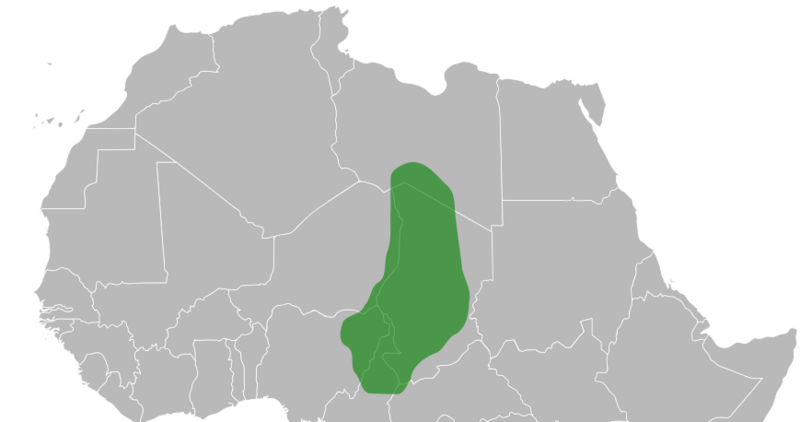Kanem-Bornu-cropped