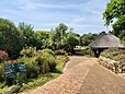 Kirstenbosch National Botanical Garden